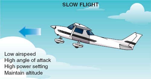 Slow Flight. Image courtesy of gauravteneja.com.